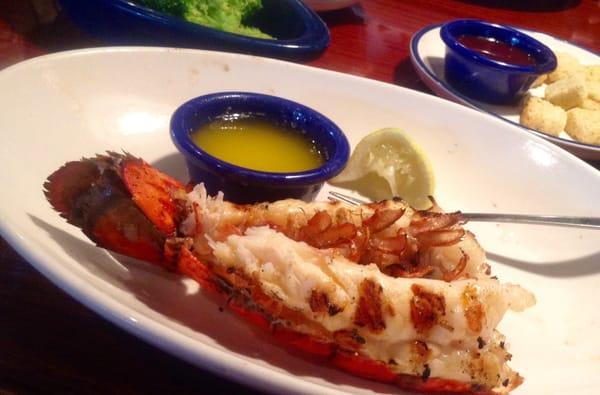 Small Rock Lobster Tail  ~  I had to ask for the small fork for pulling the lobster meat from the tail.