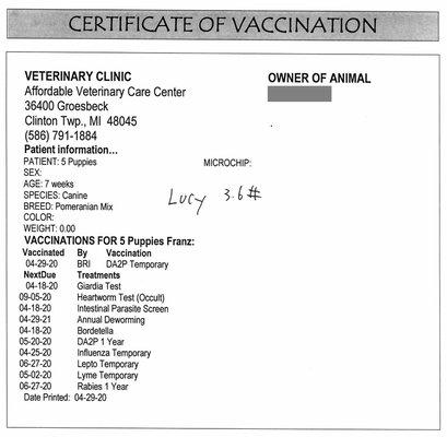 Affordable Veterinary Care Center