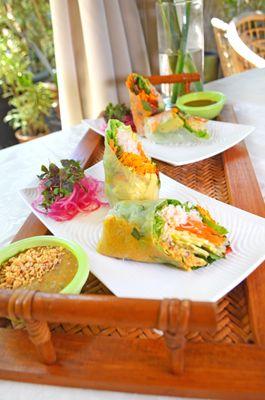 Vegetable Summer Rolls with Peanut Coconut Sauce