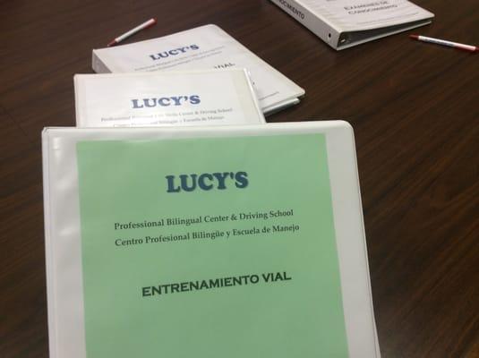 Lucy's Billingual Driving School