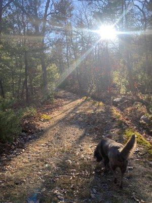 Blue Hills Reservation