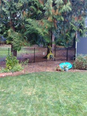 4' tall black ornamental steel fence, Ameristar