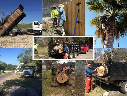 Yosef Tree Service and Landscape