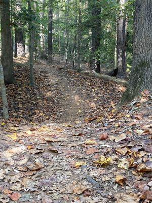 Hiking trail