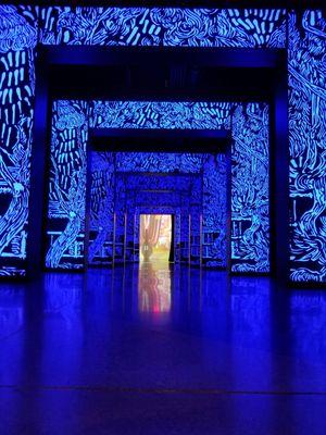 Entrance into the immersive exhibit