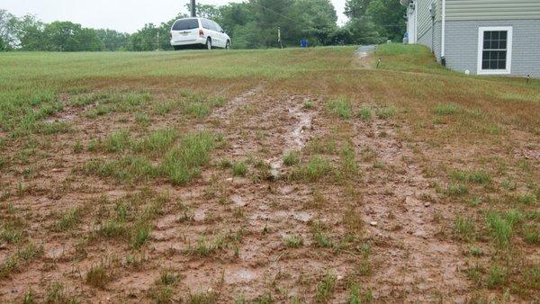 They hauled the top soil away and tried to hydro-seed shale, clay and loads of rocks.