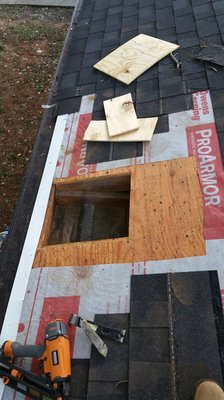 Roof Sheathing Repair