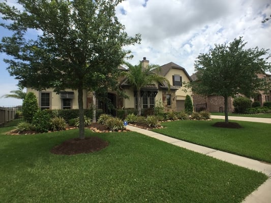 Best landscapers in League City TX