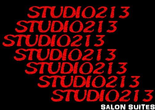 STUDIO213