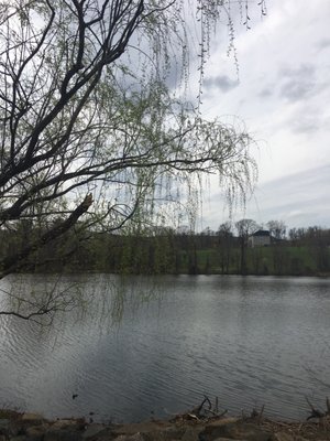 Scenic lake and picnic benches next to the market