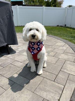 Charlie post-groom