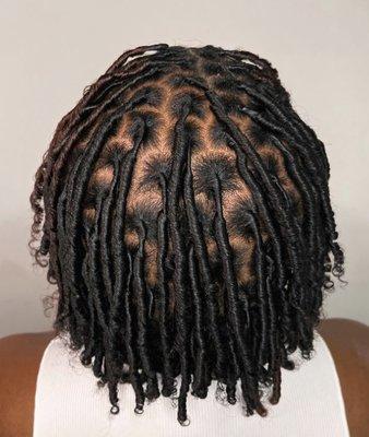 Starter locs