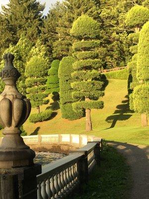 Scene in Wellesley - Amazing sculpted tree view on Lake Waban at Wellesley College