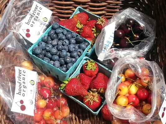 Example of a fruit CSA box from Hood River Organic.