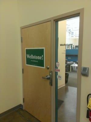 Wellstone Action