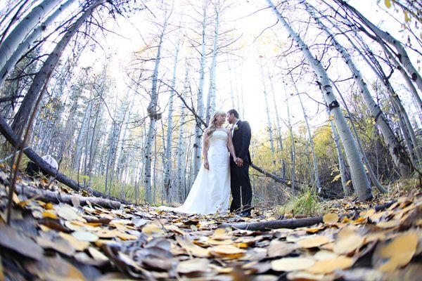 Wedding Photo in Birch trees Lake Tahoe