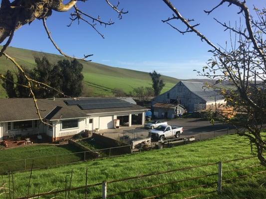 Petaluma ranch with solar.