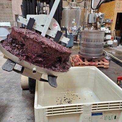 Pressed grapes ready for composting