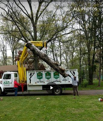 K.L.M. Tree Service & Landscaping