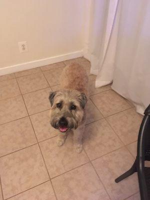 Tile floors throughout apartment