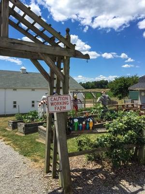 Vegetable garden