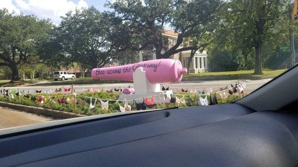 Historic cannon painted for Breast cancer month