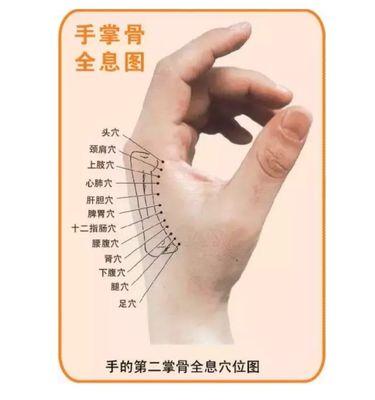 Hand acupuncture point