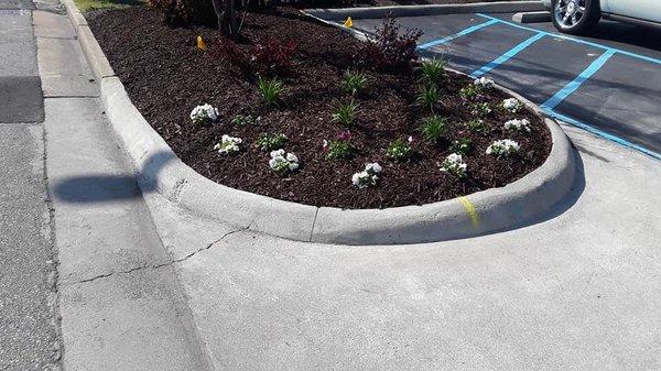 Landscaping Install