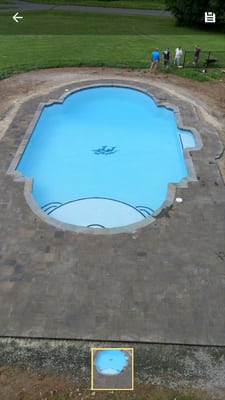 This pool is a beautiful classic roman style pool.  They chose a dolphin mosaic to accent the pool bottom.