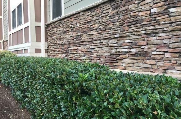 Dry stacked stone exterior on on apartment complex