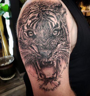 Black and grey tiger sleeve start