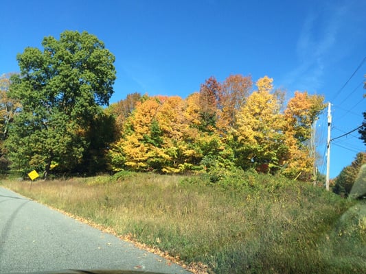 Fall Leaf Clean ups