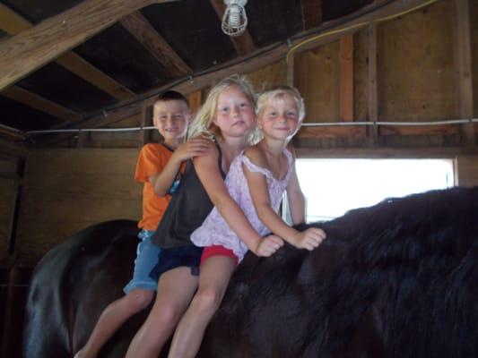 Everybody wants to ride world champion horse Archer who resides at Blue Sky Farms!