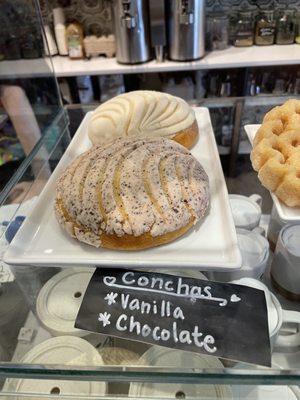 Mexican pastries Conchas.