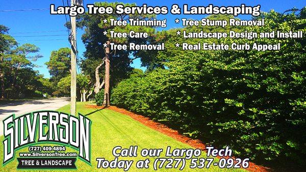 Silverson Tree Service & Landscaping