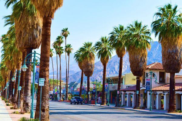 The Palm Springs and Coachella Valley area are hosts to International movie premiers, major tennis and golf tournaments, and music festivals