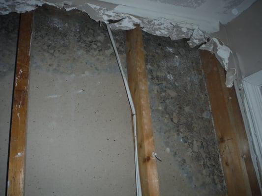 Mold is something you don't want in your home or business. Let PuroClean Atlanta handle that for you.  www.purocleanatlanta.com