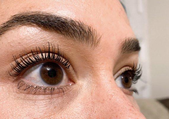 Lash Lift