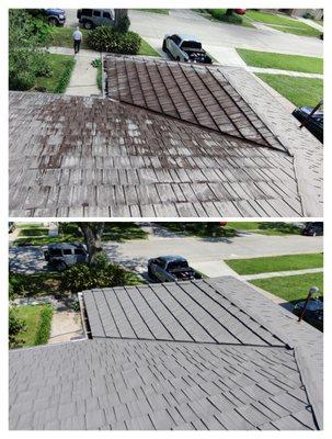 Roof cleaning before and after