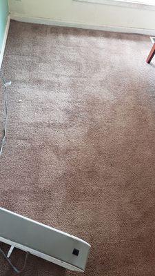 Chico's Carpet Cleaning