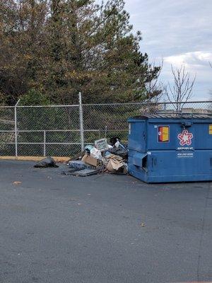 Trash piled next to the dumpster instead of inside. It looks like it's been there for a while.