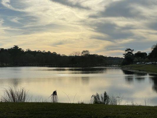 Lake in a park