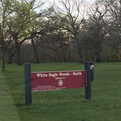 White Eagle Woods-North Grove 1