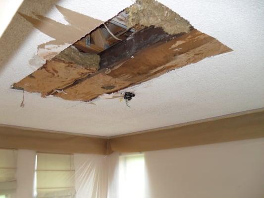 Mold and damaged sheetrock cut away.