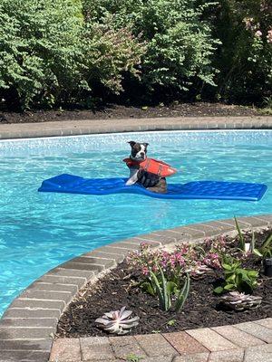 Mike's Pool Service