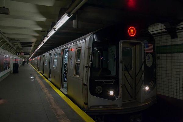 M Train