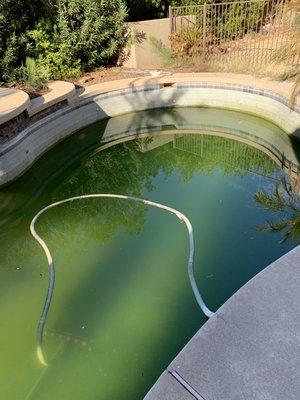 Green pool