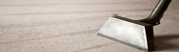 Idaho Carpet Cleaning