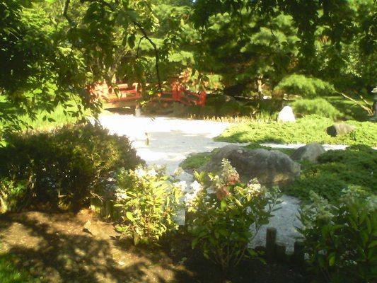 Park in late July.  There isn't any water in the pond, but that is intentional.