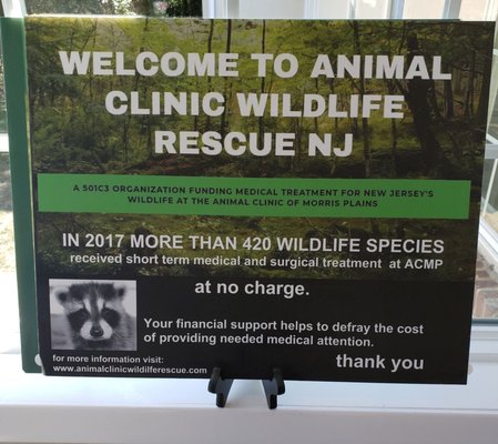 Authorized NJ Wildlife Animal Rescue, If You Find A Wild One Bring It Here!! Even "Wild Ones" Need Love!!